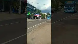 Sri lanka Bus | අම්පාට 35 මාතර💙💙💙💙@dagakaraya395 #trending