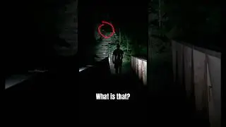 What is that? #mystery #scary #dark #forest #night #hike