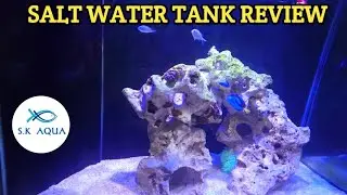 How to start up the marine tank | Tamil | SK Aqua | SK Aquatic |