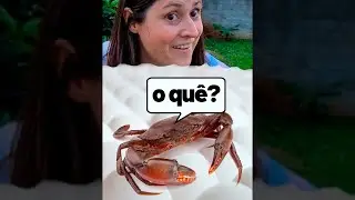 RESPONDENDO COM FONES DE OUVIDO #2