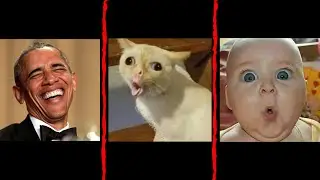 Yangi eng kulgili tiktok prikollar | top 15 - prikollar to'plami (#1) | 2023
