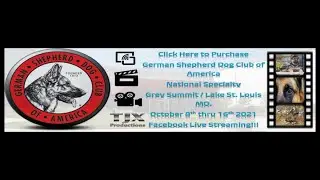 GSDCA National Specialty 10 16 2021 Best of Breed Select Dogs 1