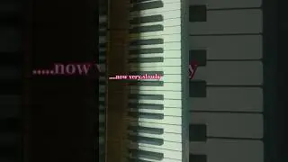 C Major Pentatonic Riff (5/25/25) #cmajor #pentatonic #pentatonicscale #licks #pianoshorts #piano