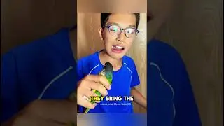 This Parrot Pulls Out Kids&rsquo; Teeth!