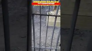 ТУТ КАМНИ ВЕЗДЕ #automobile #блог