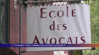 Yvelines | Comment sont form&eacute;s les futurs avocats ?