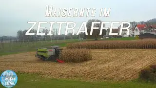 Maisernte im Zeitraffer - Der M&auml;hdrescher erntet das Maisfeld in 30 Minuten