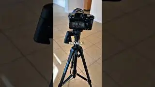 📸 Real Estate Property Walk-Through + My Exact Camera Settings! #realestatemedia