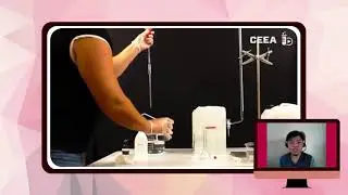 Process of Standardization (Chemistry)