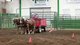 Gordie Frenz and His Haflingers Peace Country Heavy Horse Fun Days March 29 & 30, 2025