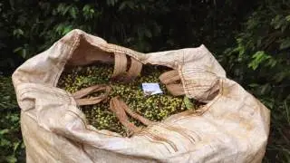 Rombouts coffee, a true delicacy...