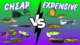 CHEAP VS EXPENSIVE Fishing Top Water Lures On The Water Review