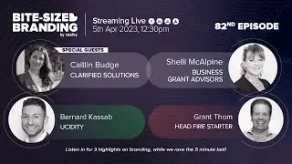 Bite-sized Branding EP 82 - Accessing Government Grants