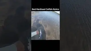 Saltwater Catfish Advice
