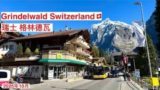 Grindelwald Switzerland 2｜Coop Supermarket | Hotel Alpenblick ｜瑞士自由行：格林德瓦 ｜街道漫步｜超市