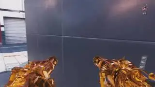 TiagoPontes98 COD IW HC LMG AKIMBO AUGER