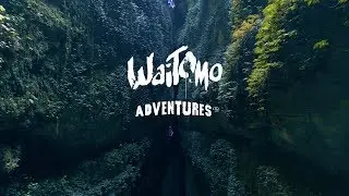 The Lost World - Only We Can Take You Here!
