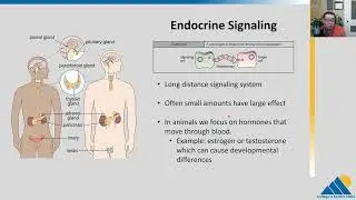 BIOL201 Ch9.1 | Signaling Molecules and Cellular Receptors