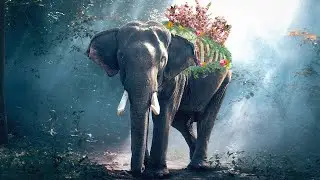Elephant🐘 Matte Painting Tutorial.