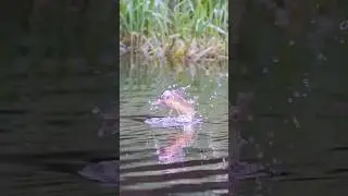 Use These Flies... Catch More Fish. Simple.