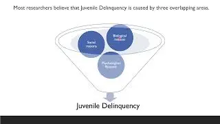 Why do teenagers become Juvenile Delinquents?