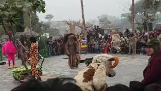 Lahore safari zoo what a performance by jungle theme