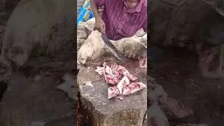 cutting #chennai #fish #cutting #fishing #marine #aqua #catch #sea #tasty #tamil #food #catching
