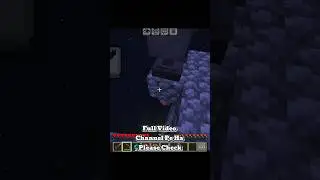 Minecraft Death swap 💀