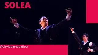 ✔ SOLEA de David Pérez  #coreografiadesolea  #baileporsoleaflamenco