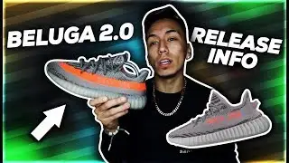 BELUGA 2.0 RELEASE INFO