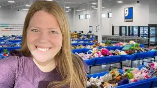 Goodwill Bins Haul to Sell on Whatnot