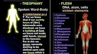 Theophany body వాక్య శరీరం
