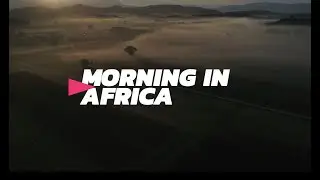 Morning in Africa - How Eco-Tourism is changing South Africa's Wine Route