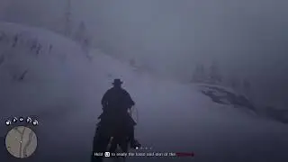 Red dead redemption 2 leaked gameplay