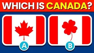 Guess the Correct Flag Quiz | 50 Country Flags