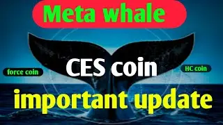 Meta force CES coin 📈 important information ☝️