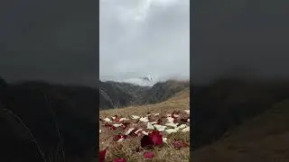 Beautiful wedding 💒in the mountains 🏔️ in Georgia #wedding #mountains #georgia