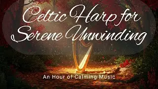 Celtic Harp for Serene Unwinding🎶| An Hour of Relaxing Music #ambientvibes #harpmusic #peaceful