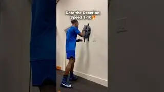 Rate the Reaction Speed 1-10&hellip;SCAM?😮&zwj;💨