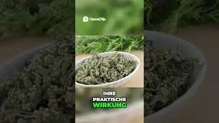Mugwort: Healing power & history of an ancient plant.