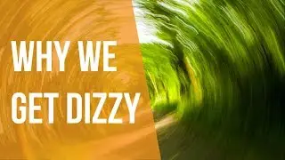 Why We Get Dizzy When We Spin