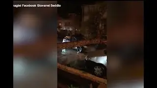 Alberi abbattuti, strade interrotte: le immagini di Agrigento sott’acqua