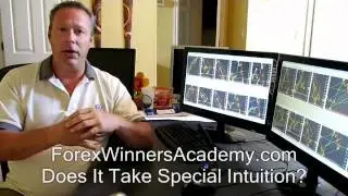 Forex Trading Training 3 common Questions Forex Training Austin Texas
