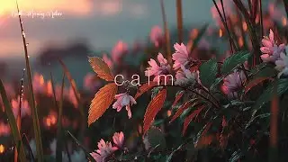 Soft Morning Guitar ~ Peaceful Nature Melodies ~ Gentle Acoustic Background Music