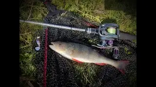 Micro monster fishing reel to break your imagination!