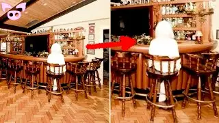 These Strange & Unsettling Videos Will CREEP YOU OUT