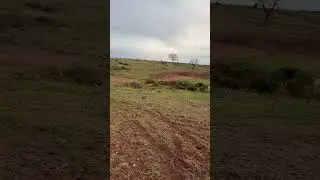 Hasan Malko&ccedil; @bullymlih &lsquo;a tavsiye veriyor