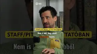 egy STAFF extra felelőss&eacute;ggel j&aacute;r. #kutya