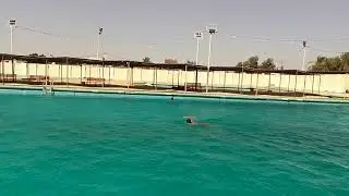 شلونكم.حبايب كلبي.