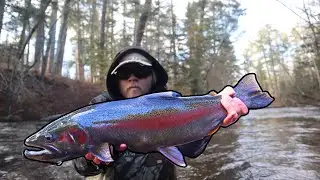 BIG Superior Steelhead and Browns on the Fly ( CRAZY FIGHTS )